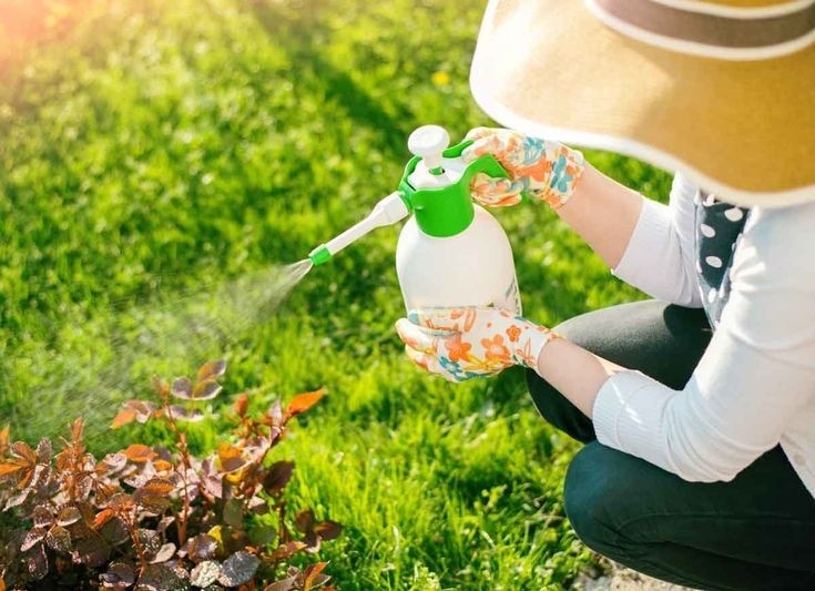 فروشگاه درخت زندگی - treelife - مظنه