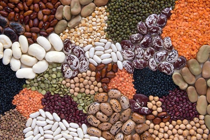 فروشگاه عبادی - ebadi - مظنه
