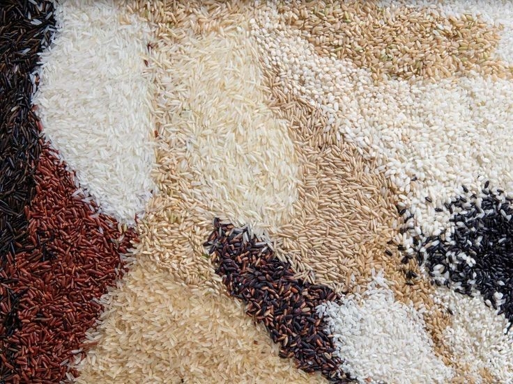فروشگاه برداران اسفندیاری - esfandiyari - مظنه