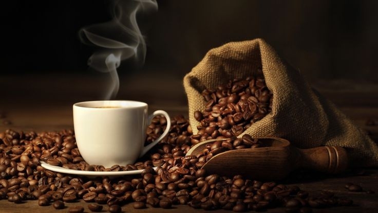 فروشگاه کریمی - karimi - مظنه