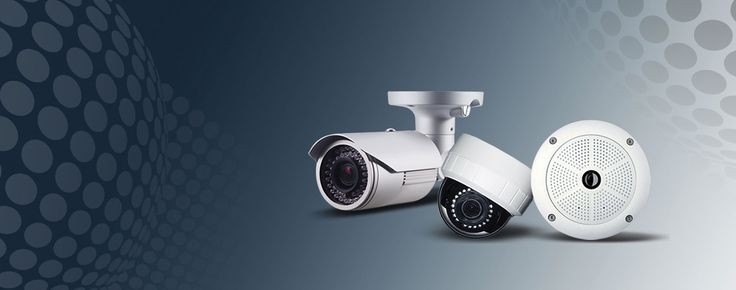 فروشگاه ایستارایان - istaraiyan - مظنه