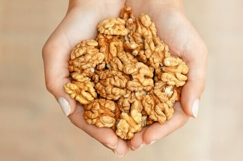 فروشگاه گودرزی - godarzi - مظنه
