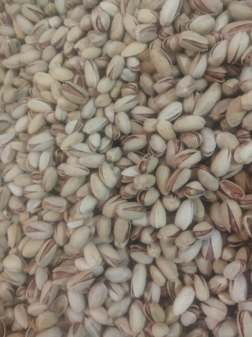 آجیل محمدی - mohammadi_nuts - مظنه