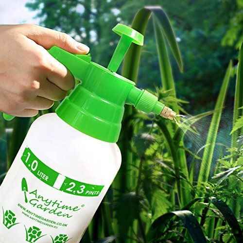 فروشگاه درخت زندگی-treelife-مظنه