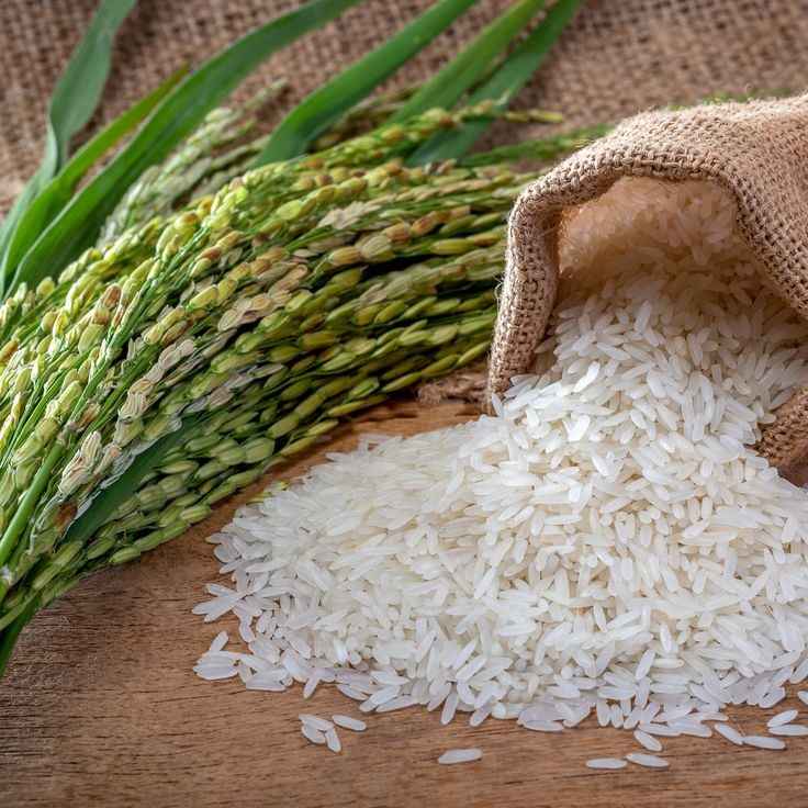 بازرگانان اسفندیاری-esfandiari-مظنه