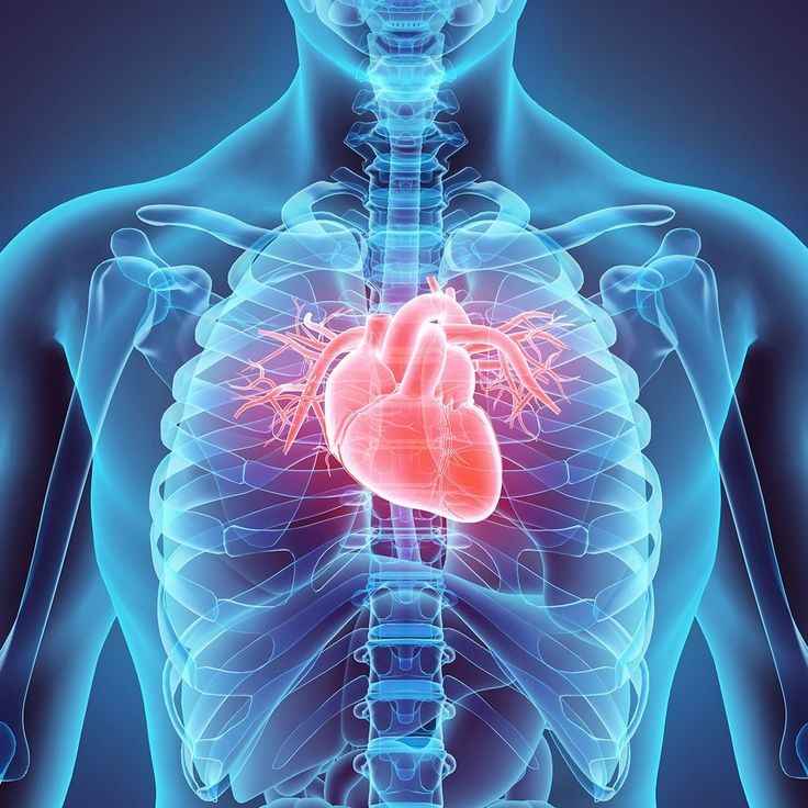 کالاپزشکی ایران مدیکال-iranmedical-مظنه