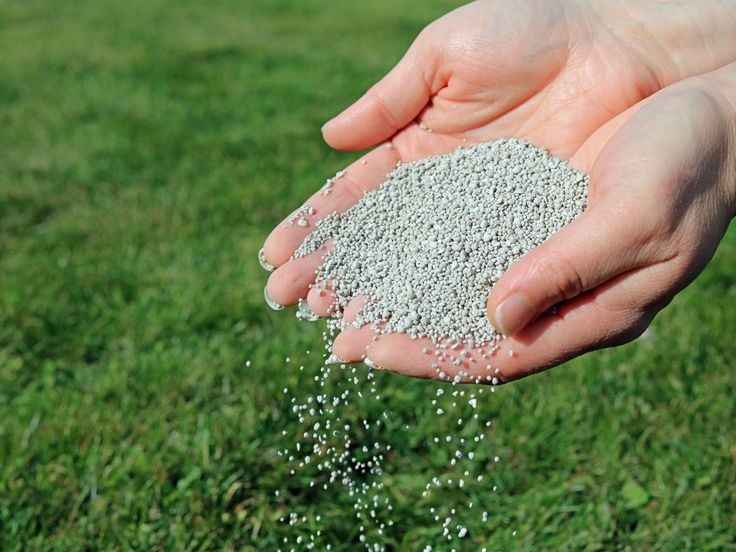 فروشگاه شیروانی-shirvani-مظنه
