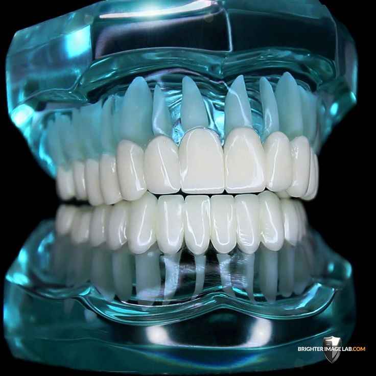 شرکت مارال دیش طب-marall_dishteb-مظنه