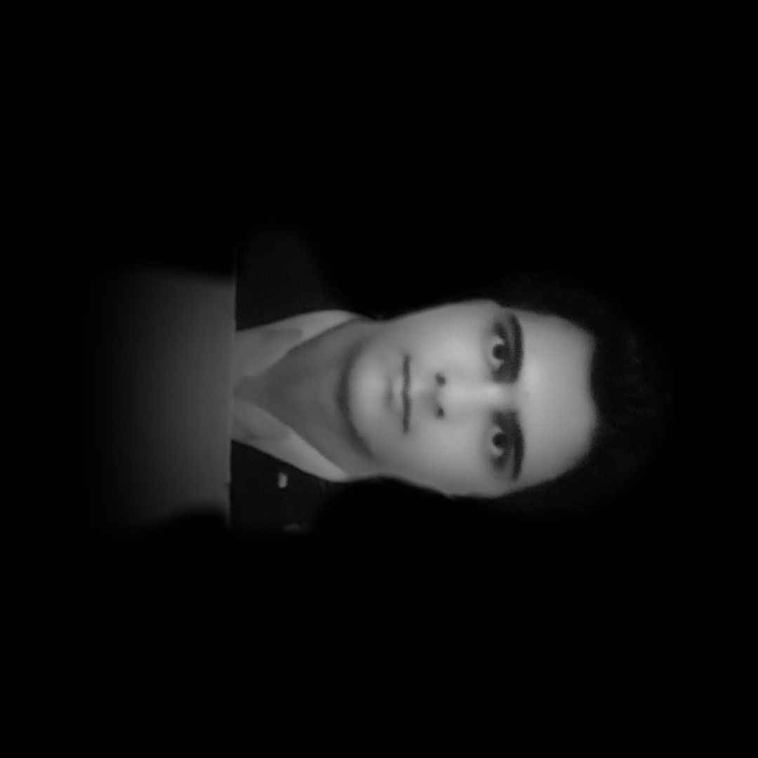 تولید، عرضه و بسته بندی میوه وسبزیجات خشک، -mohammadmehdianvari-مظنه